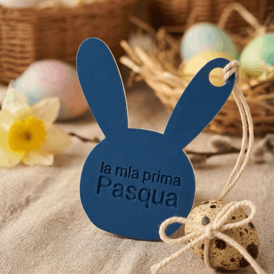 immagine sezione 2