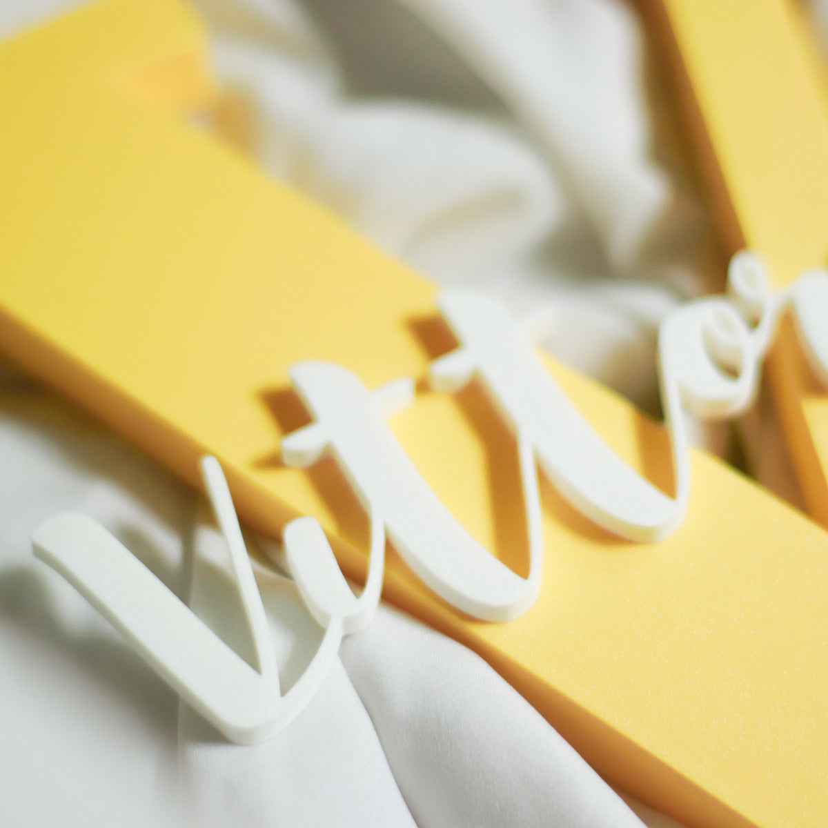 PetLetter - Lettera decorativa per Cane o Gatto